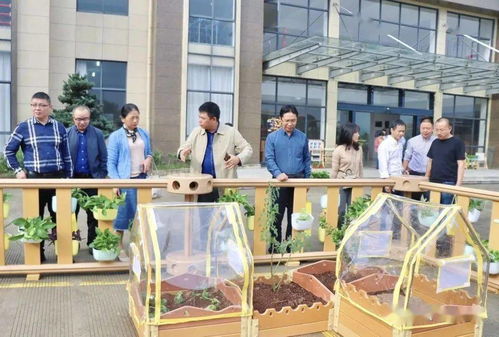 貝瑪教育 麗水市學前教育專家實地參觀指導，共促教育發展